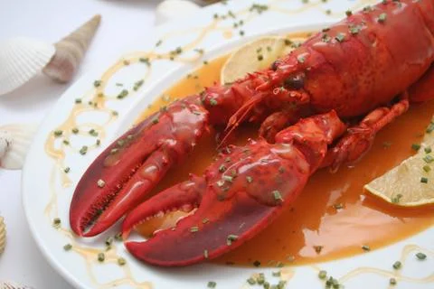 Lobster Stock Photos