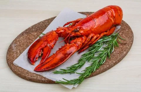 Lobster Stock Photos
