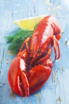 Lobster Stock Photos