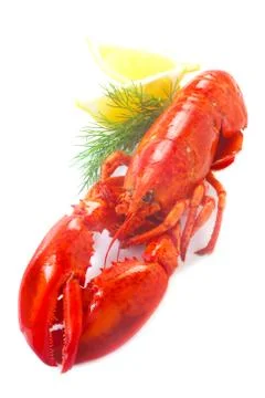 Lobster Stock Photos