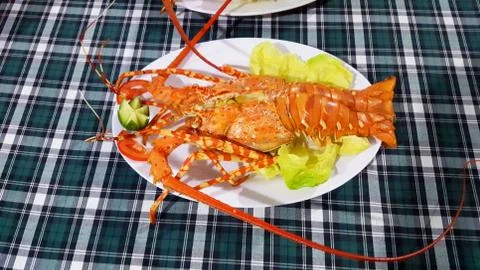 Lobster 스톡 사진
