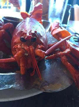 Lobster Stock Photos