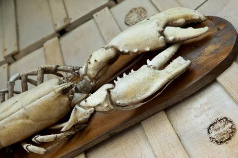 Lobster Stock Photos