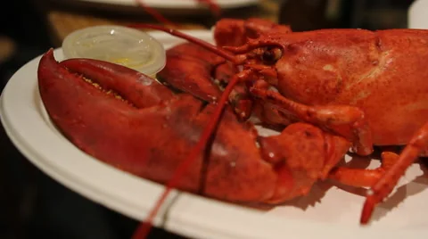 Lobster plate Video stock 42790848