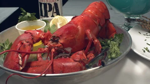 Lobster Plate Stock Footage 166961216