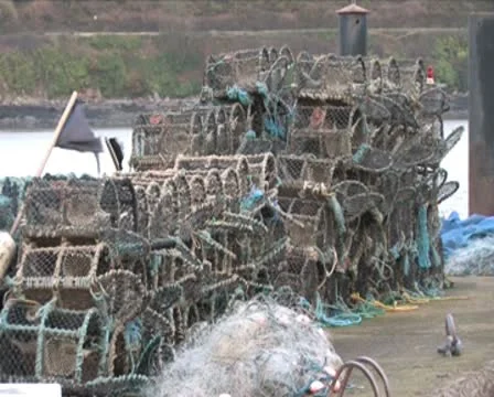 Lobster Pots Video stock 10608564