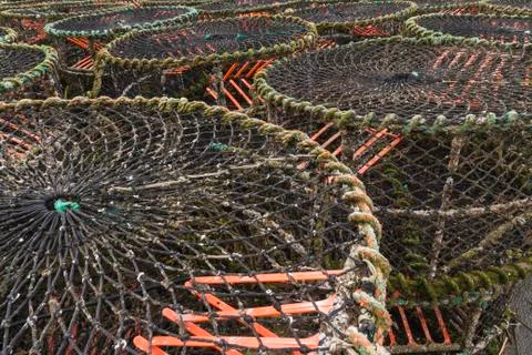 Lobster pots Stockfoto's