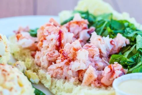 Lobster roll Stock Photos