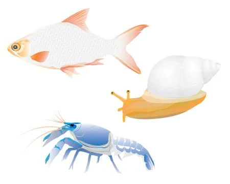 Lobster snail fish vector design Stock Illustration