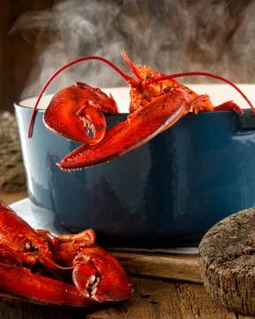 Lobster Steaming in a Pot Foto stock