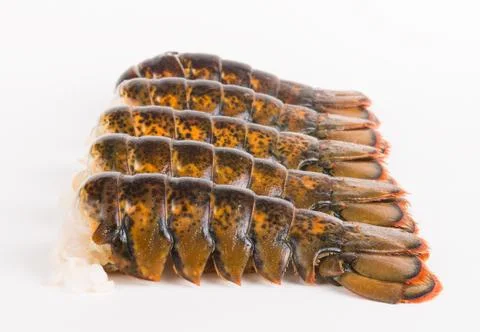 Lobster tail 4 Stock Photos