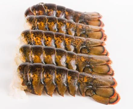 Lobster tail 5 Stock Photos