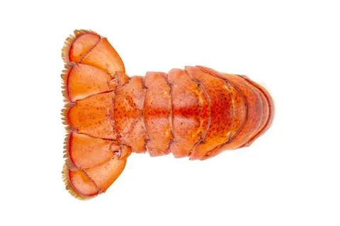 Lobster tail Stock Photos