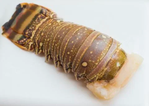 Lobster tail 스톡 사진