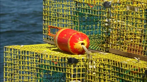 Lobster trap buoy Video stock 36844645