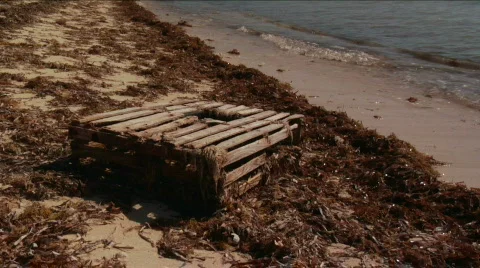 Lobster Trap Stock Footage 716944