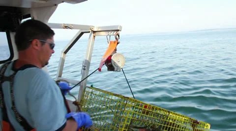 Lobster Trap is Pulled From Ocean Then Opened to Reveal Live Lobsters, Maine 스톡 동영상 25572644