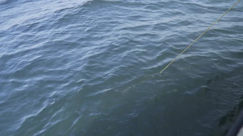 A lobster trap is pulled up out of the water Stock Footage 131533325