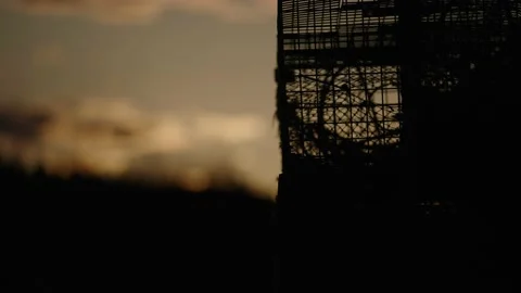 Lobster trap timelapse Stock Footage 165693004