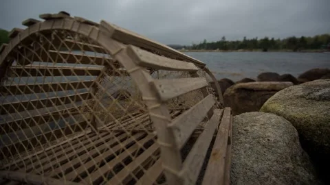 Lobster Trap Timelapse Stock Footage 310564300