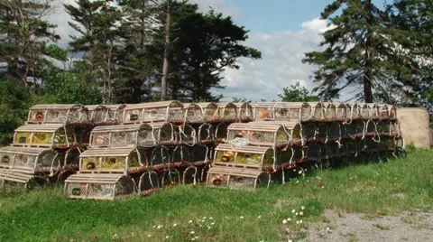 Lobster Traps 動画素材 8620886