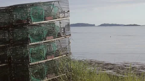 Lobster Traps Video stock 11192080