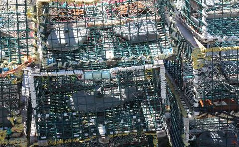Lobster traps Stock Photos