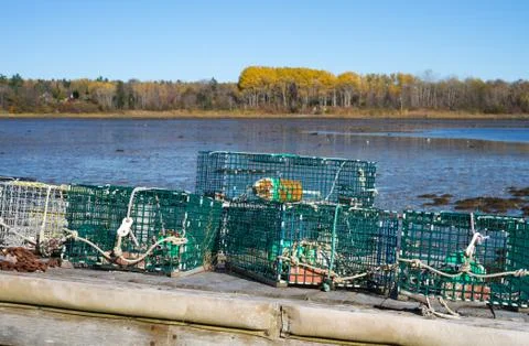 Lobster traps on tilted floating dock Stock Photos