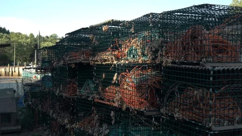 Lobster Traps on Wharf. Stock Footage 88196376