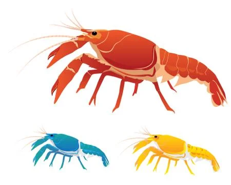 The lobster on white background Stock Illustration