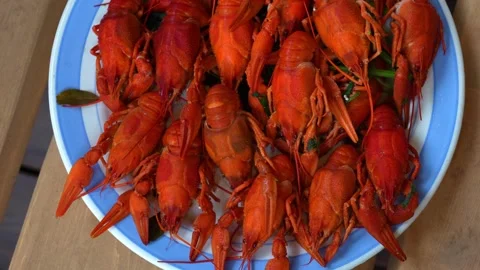 Lobster1 Stock Footage 340236823