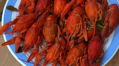 Lobster2 Stock Footage 340236824