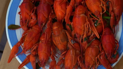 Lobster3 Stock Footage 340236820