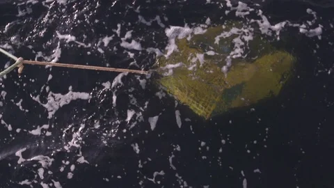Lobstering Stock Footage 91144676