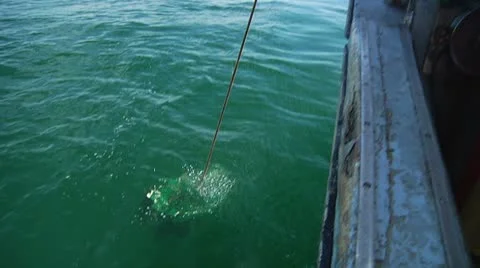 Lobsterman pulls in empty lobster trap Stock Footage 8912550