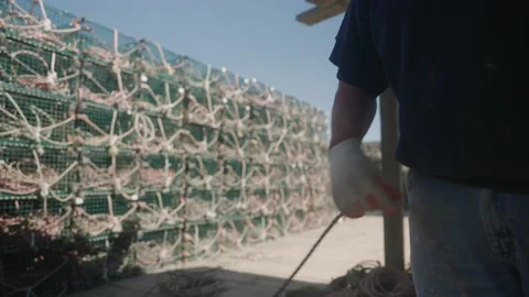 Lobsterman pulls rope Stock Footage 165692593