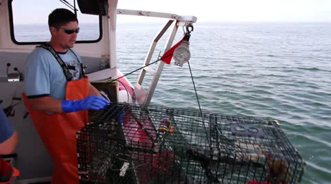 Lobsterman Pulls Two Lobster Traps From The Ocean, Maine 스톡 동영상 25583283