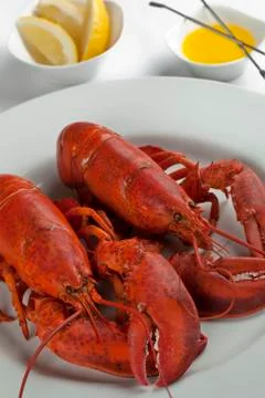 Lobsters platter Stock Photos