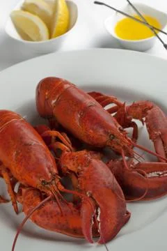 Lobsters platter Stock-Fotos