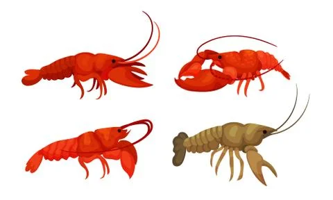 Lobsters with Thick Shell and Strong Chelate Limbs Vector Set Illustrazione stock