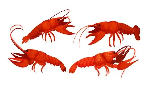Lobsters with Thick Shell and Strong Chelate Limbs Vector Set イラスト素材