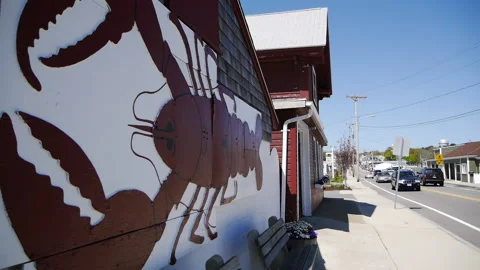 LOBSTERSIGN Stock Footage 186036712