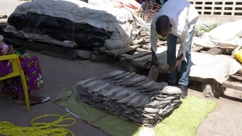 A local African man sorting and counting fish at Mwaloni in Mwanza, Tanzania Vídeos de archivo 310930247