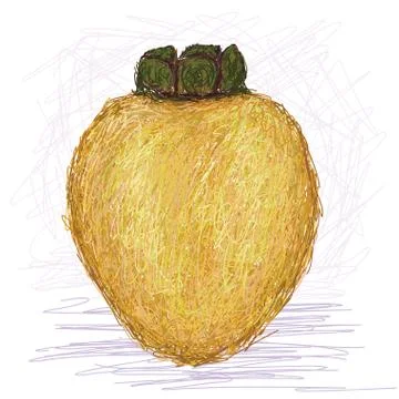 Local apple Stock Illustration