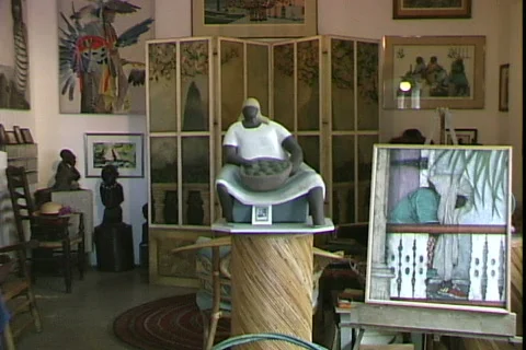 Local Art Video stock 818667