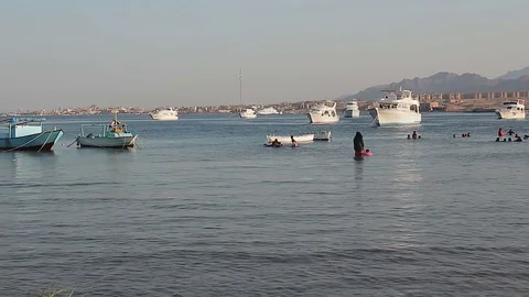 Local Beach in Egypt. Stock-Footage 70801753