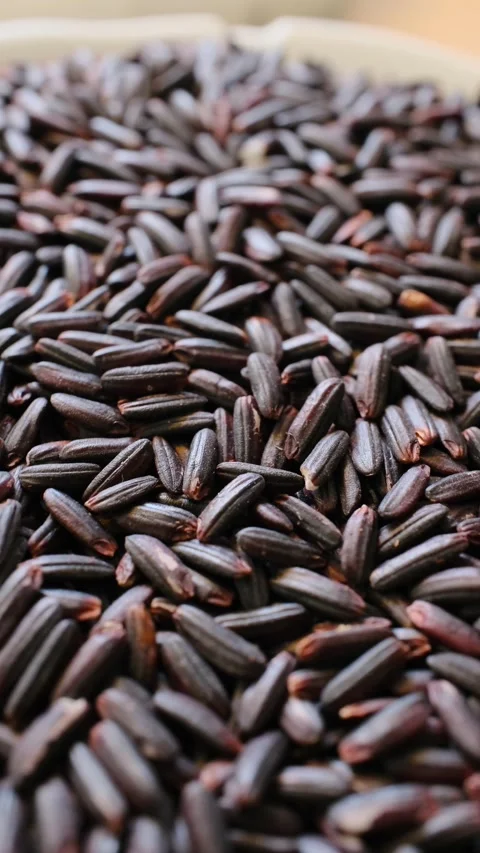 Local black rice on a rotating base Stock Footage 285772885