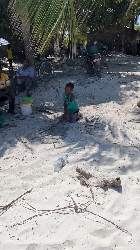 Local boy tenderizing fresh octopus on sand beach in Zanzibar Vídeo Stock 344039692