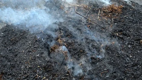 Local charcoal production  Stock Footage 77430563