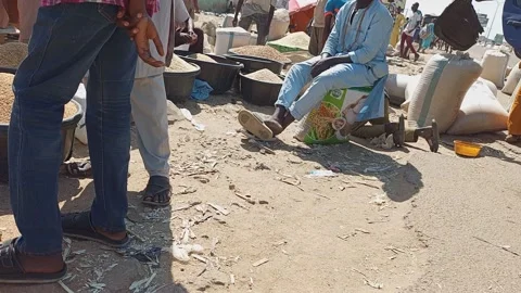 Local Commodity Market Roadside Cereal Sellers Kano Nigeria 動画素材 321745870